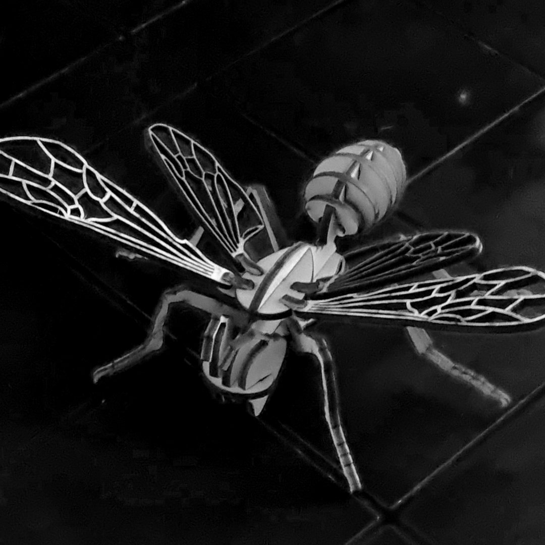 insect wood gift